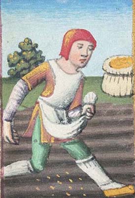 sowing_wheat